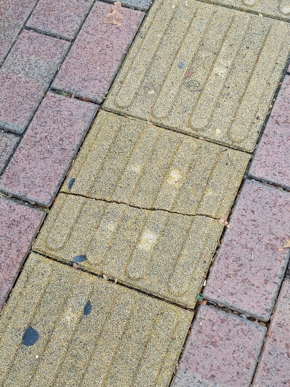 보도블록 균열