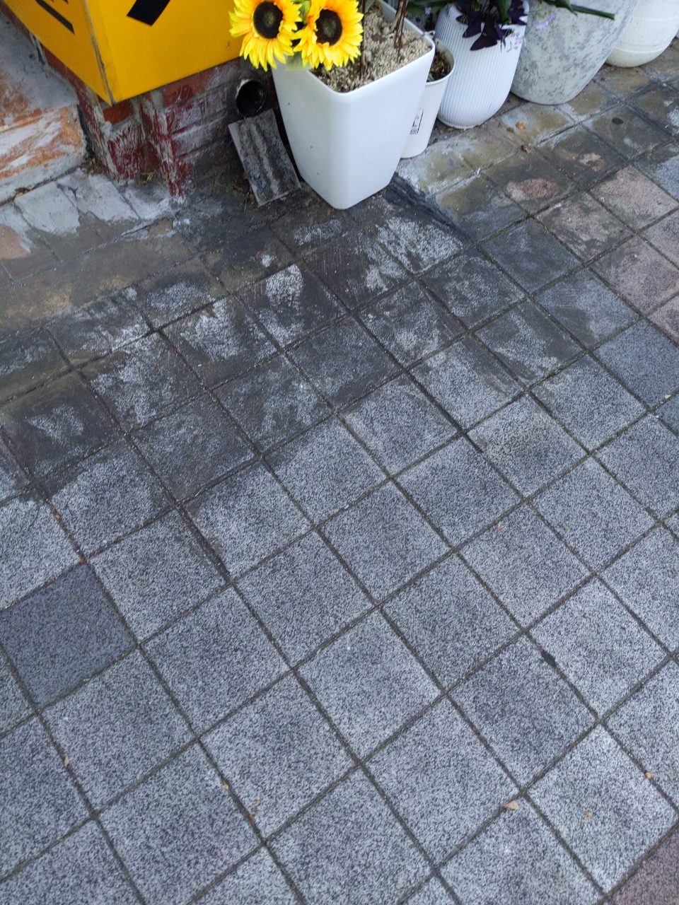 보도블록 이상 없음