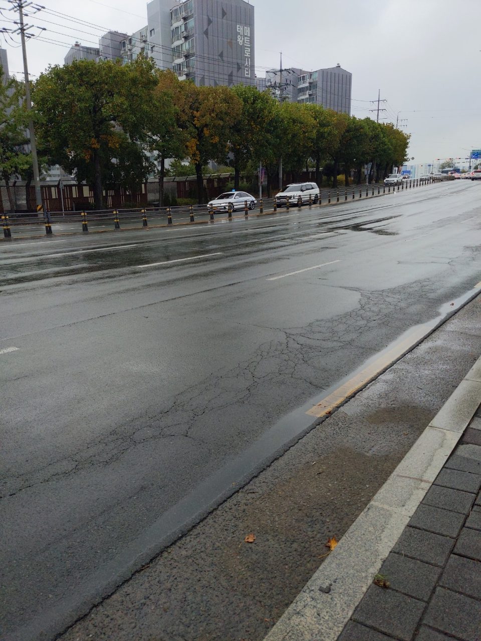 도로 균열