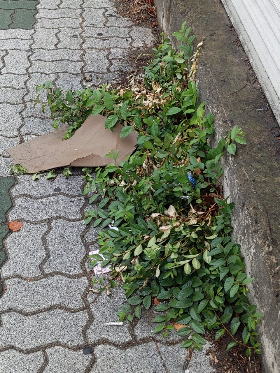 보도블록 구조물 파손
