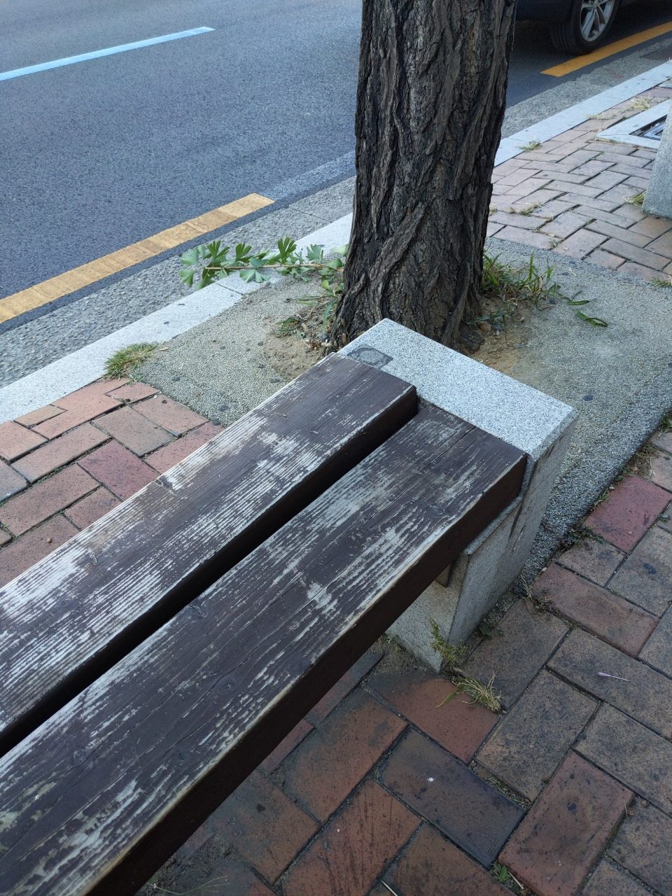 분석 대상 없음