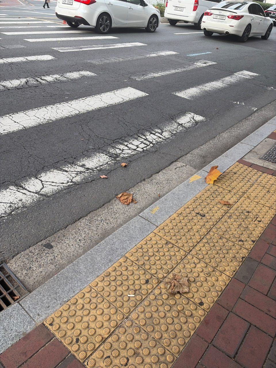 도로 균열