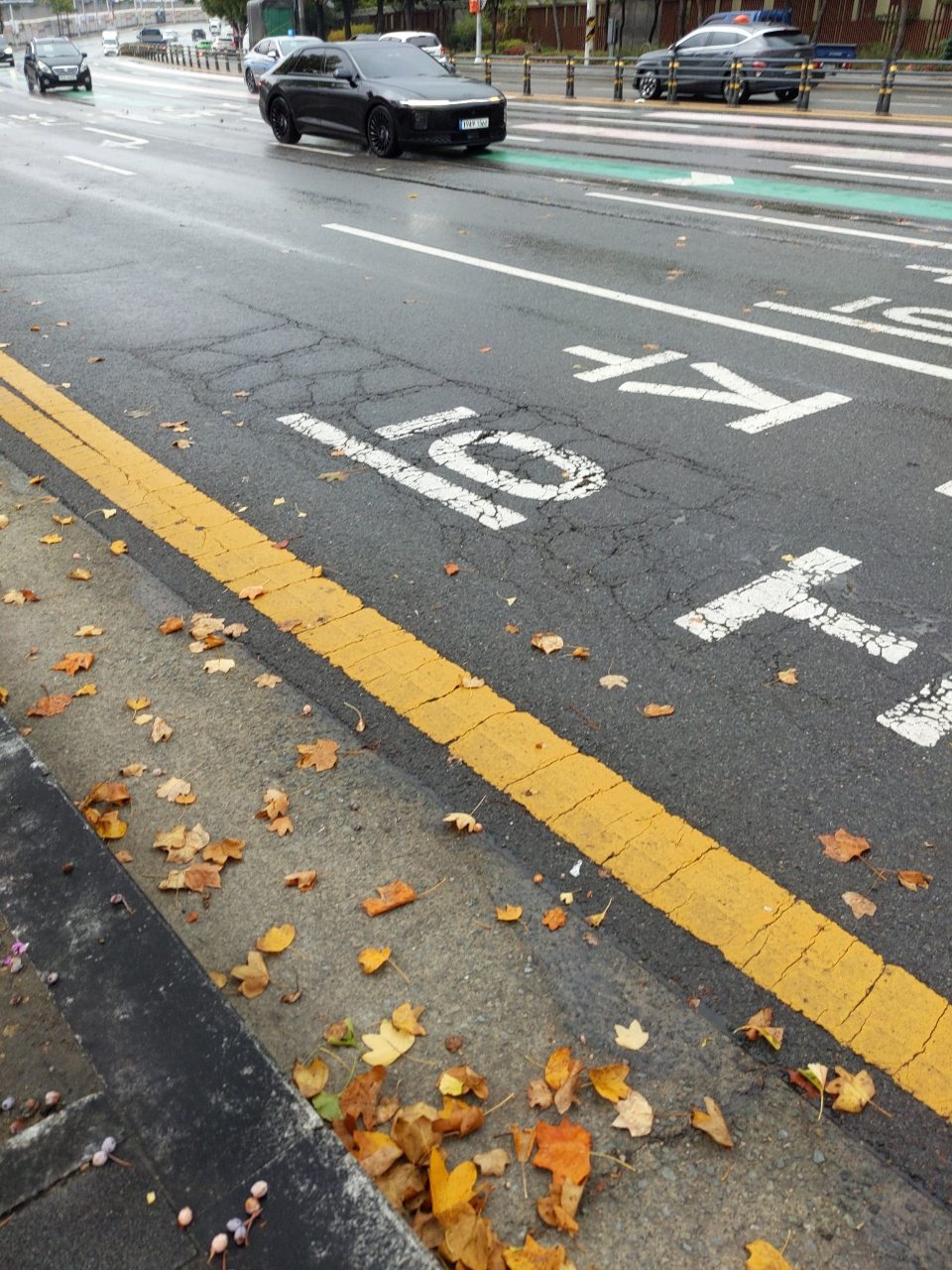 도로 균열