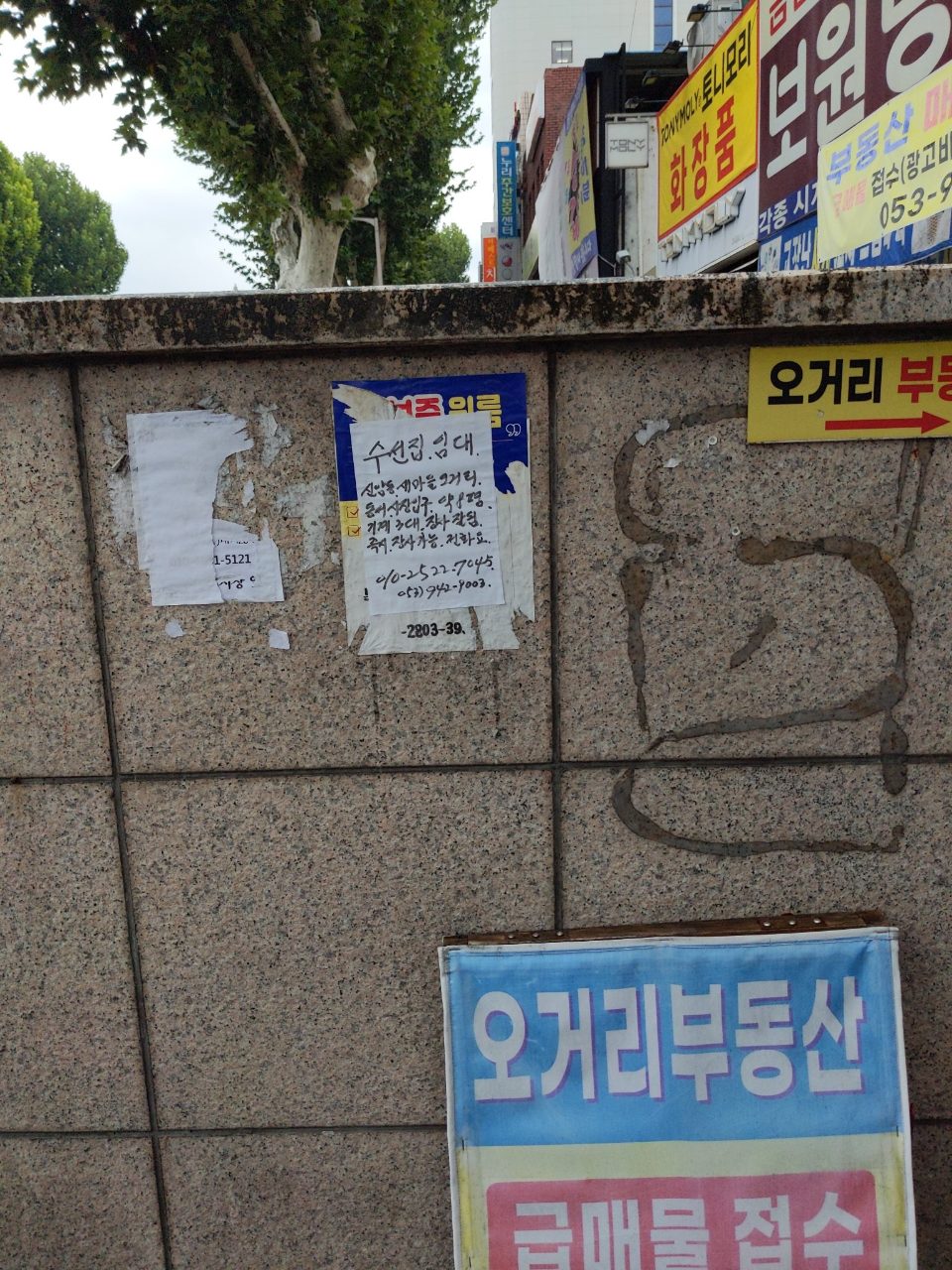 분석 대상 없음