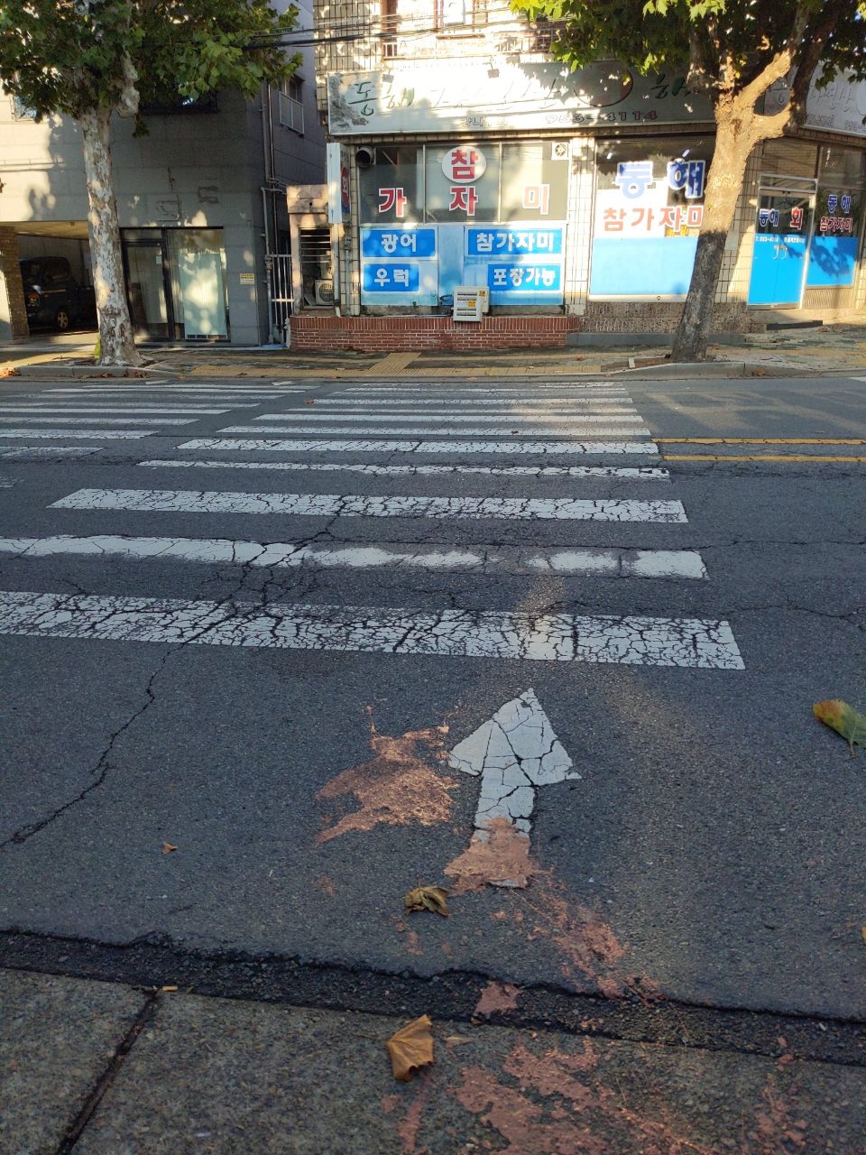 도로 균열