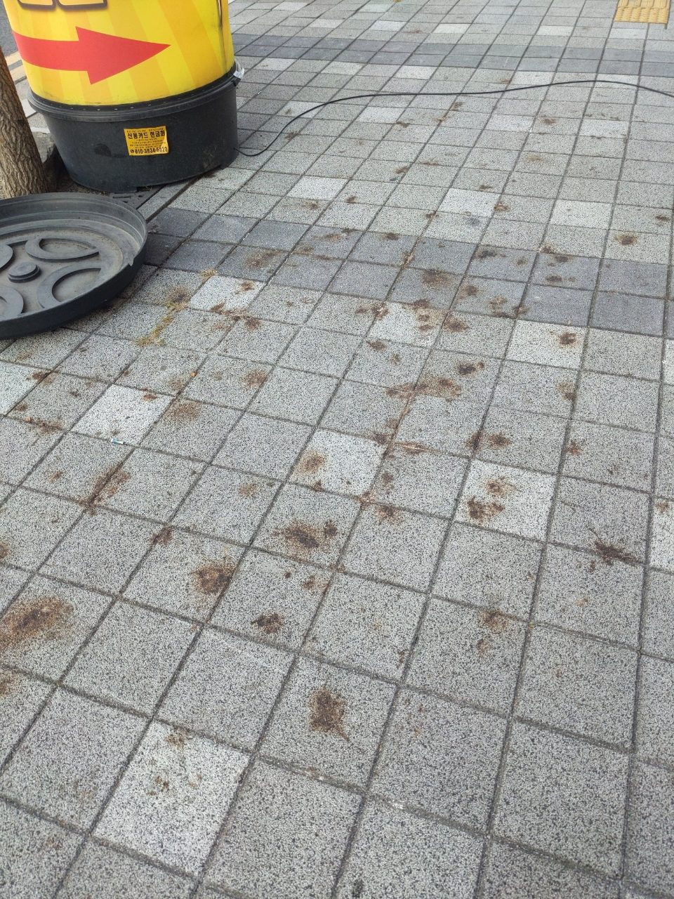 보도블록 균열