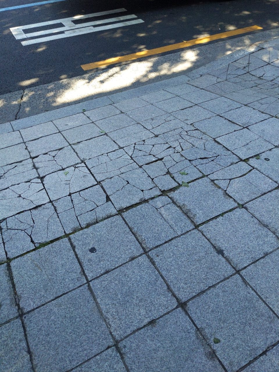 보도블록 균열