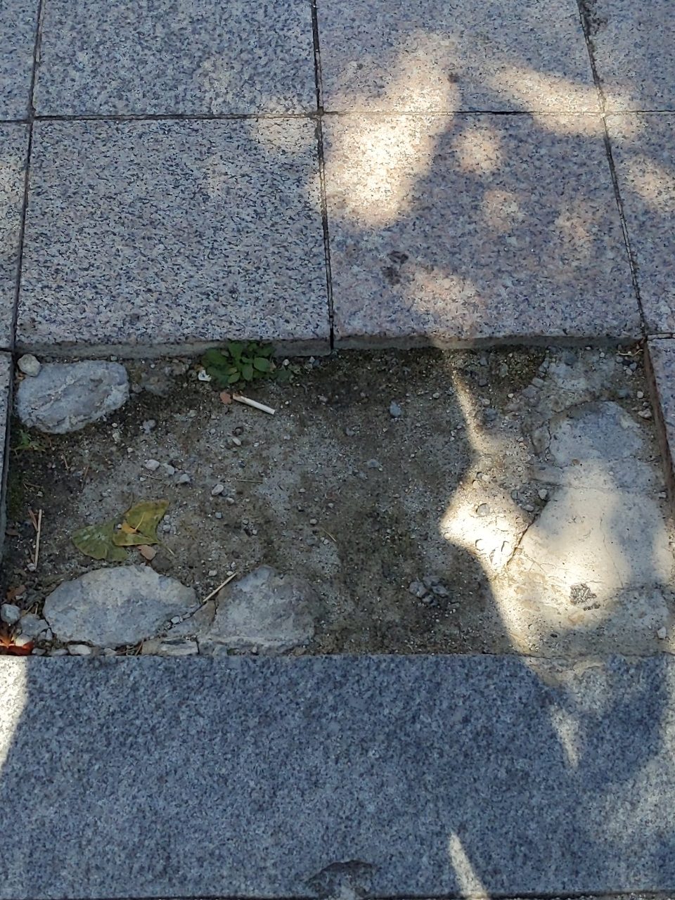 보도블록 구조물 파손
