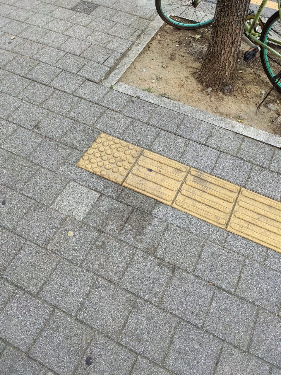 보도블록 이상 없음