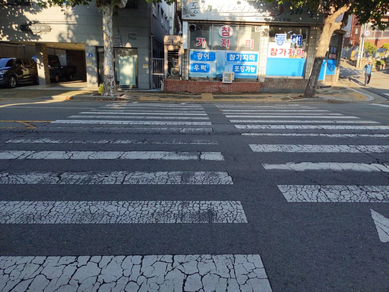 도로 균열