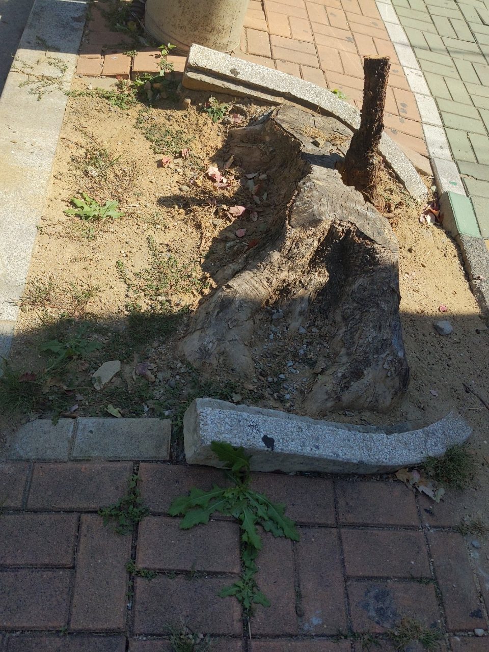 가로등 구조물 파손