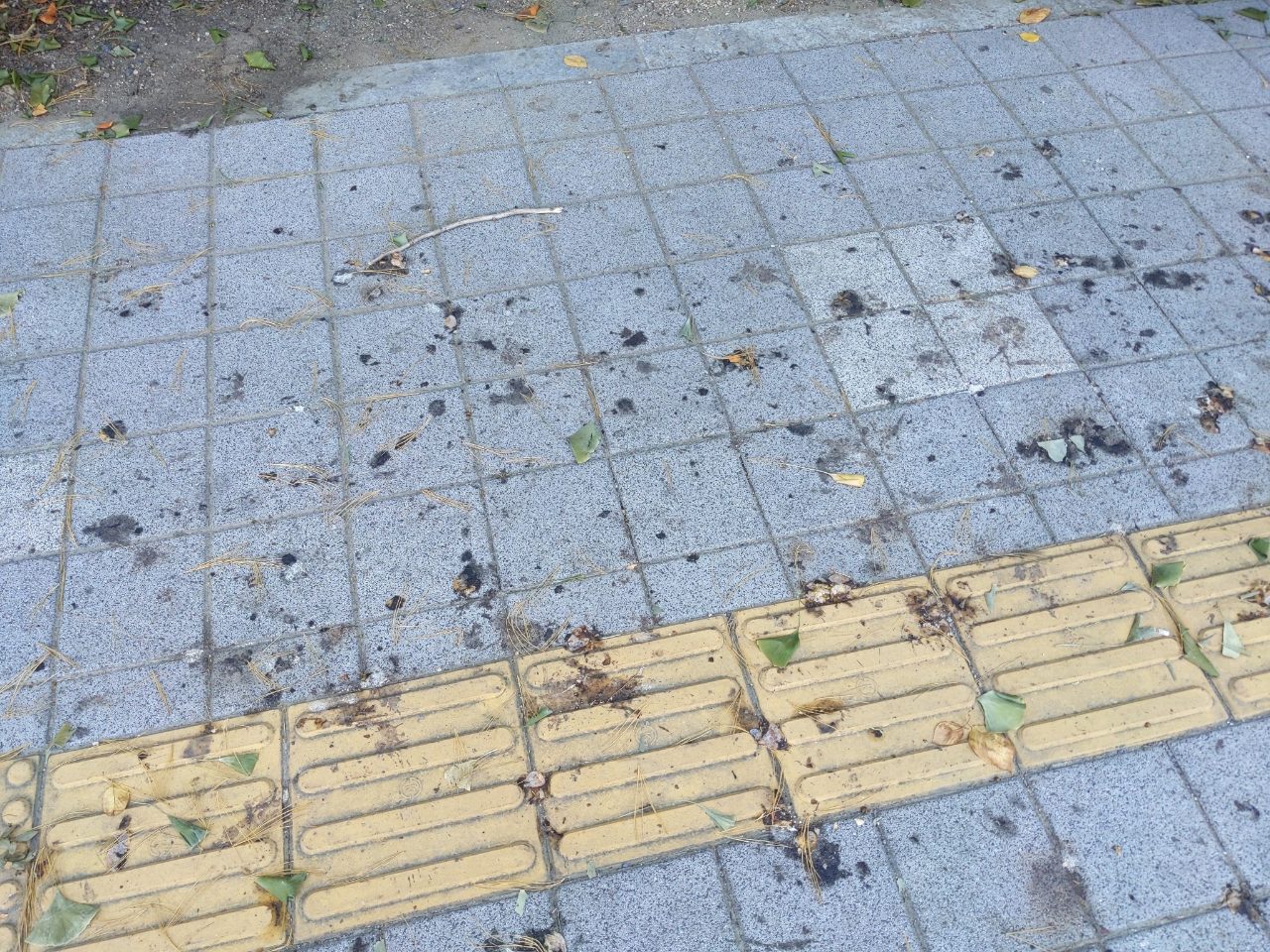 보도블록 구조물 파손