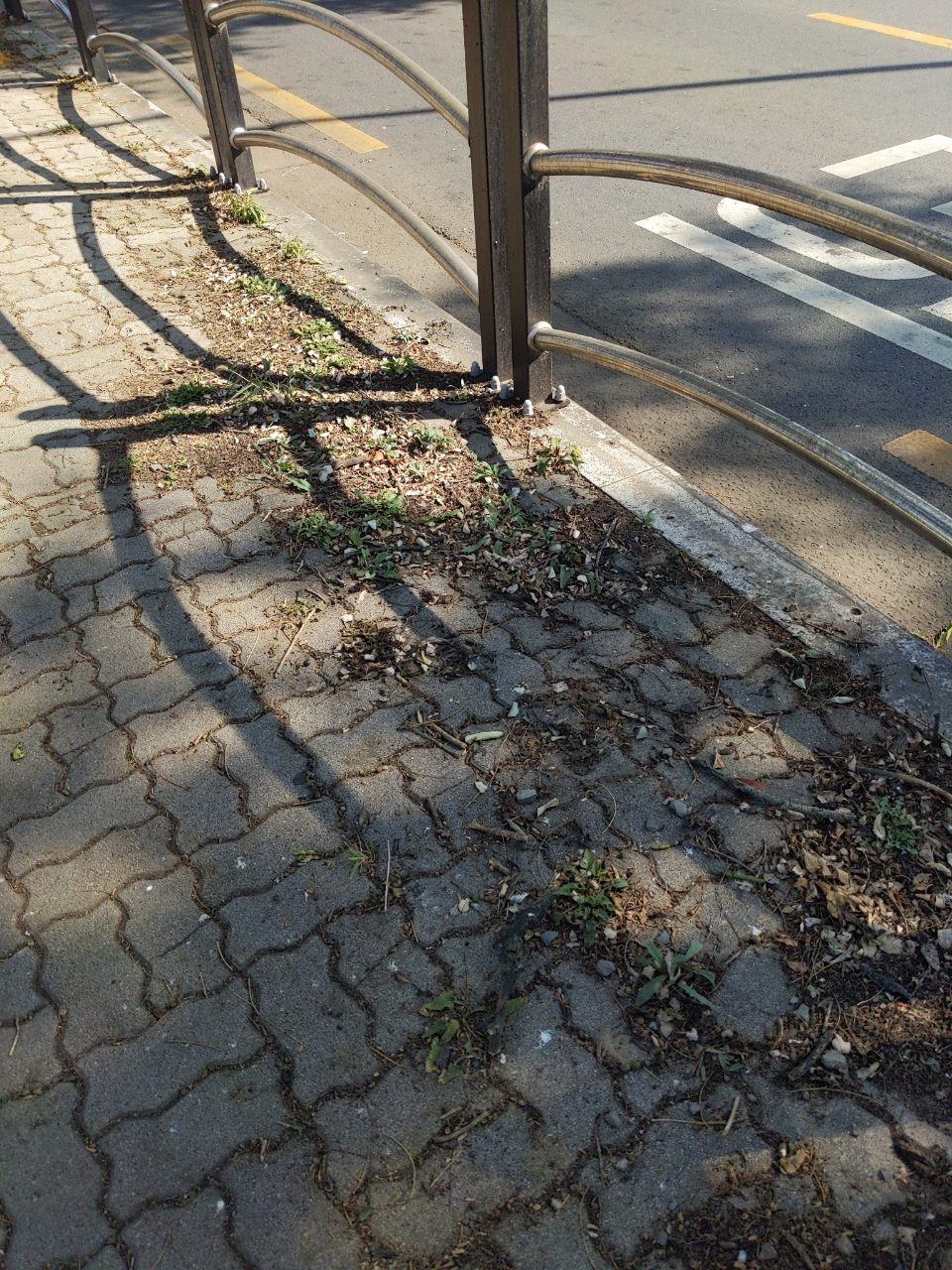 보도블록 이상 없음