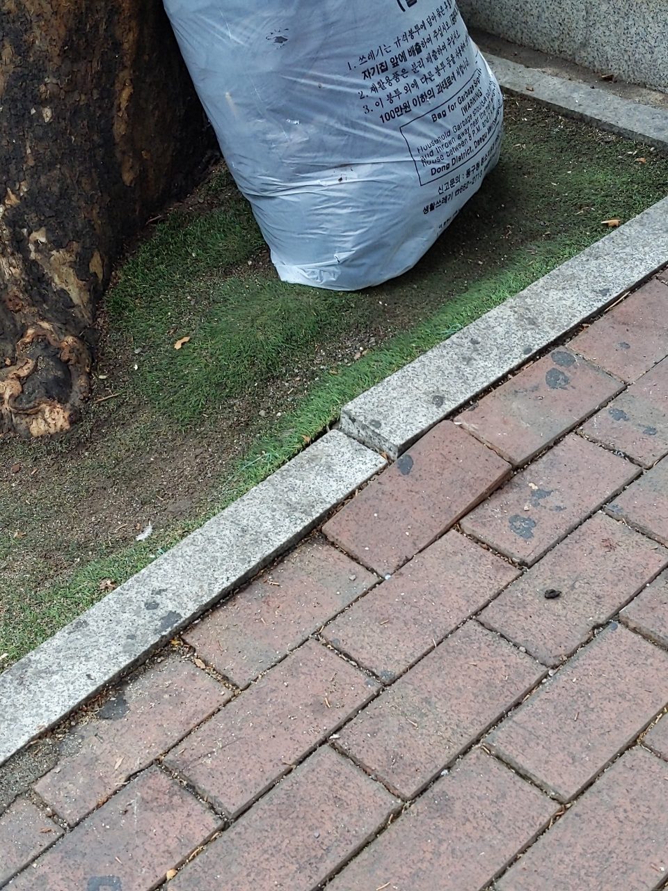보도블록 구조물 파손