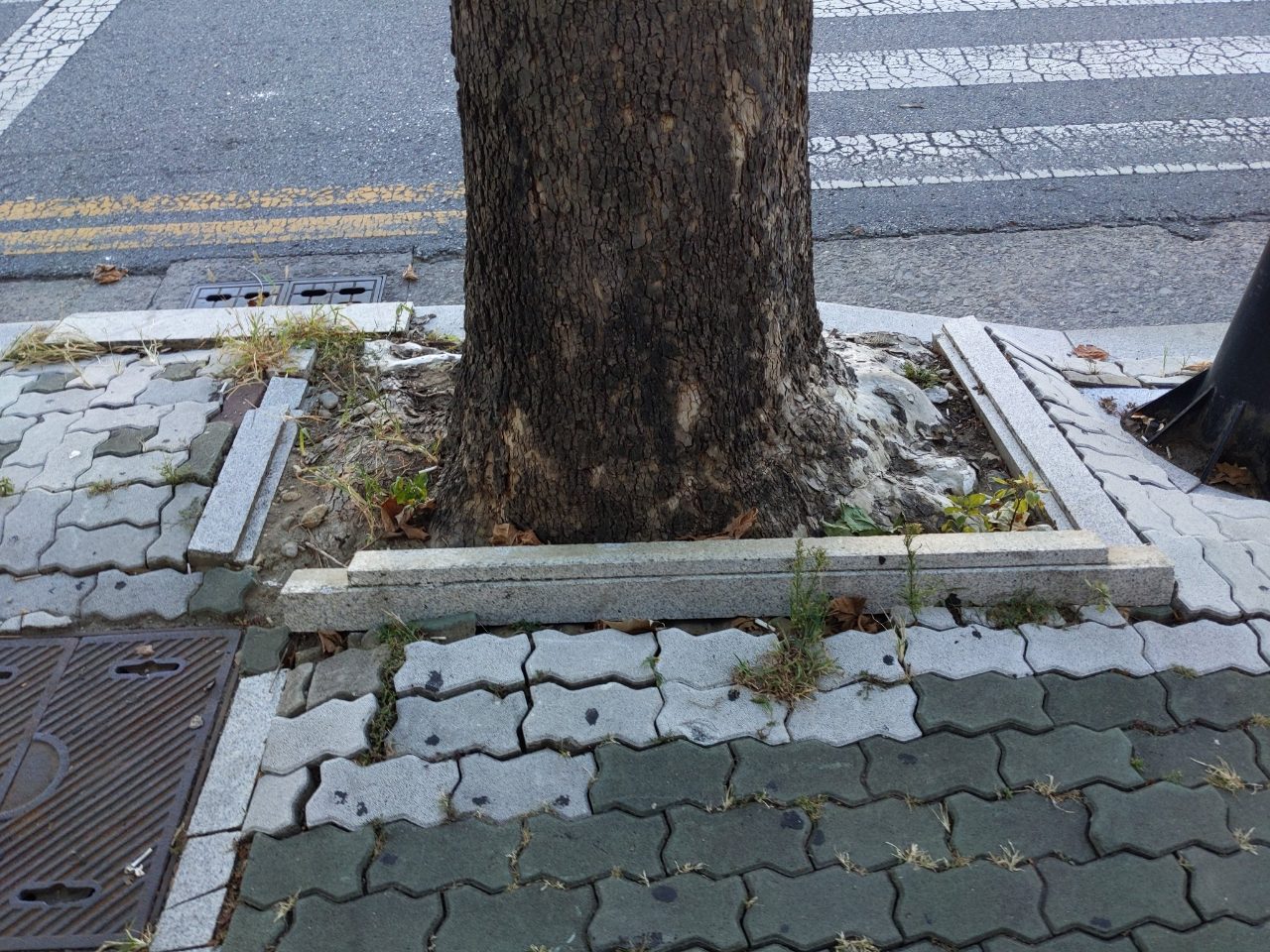 보도블록 구조물 파손