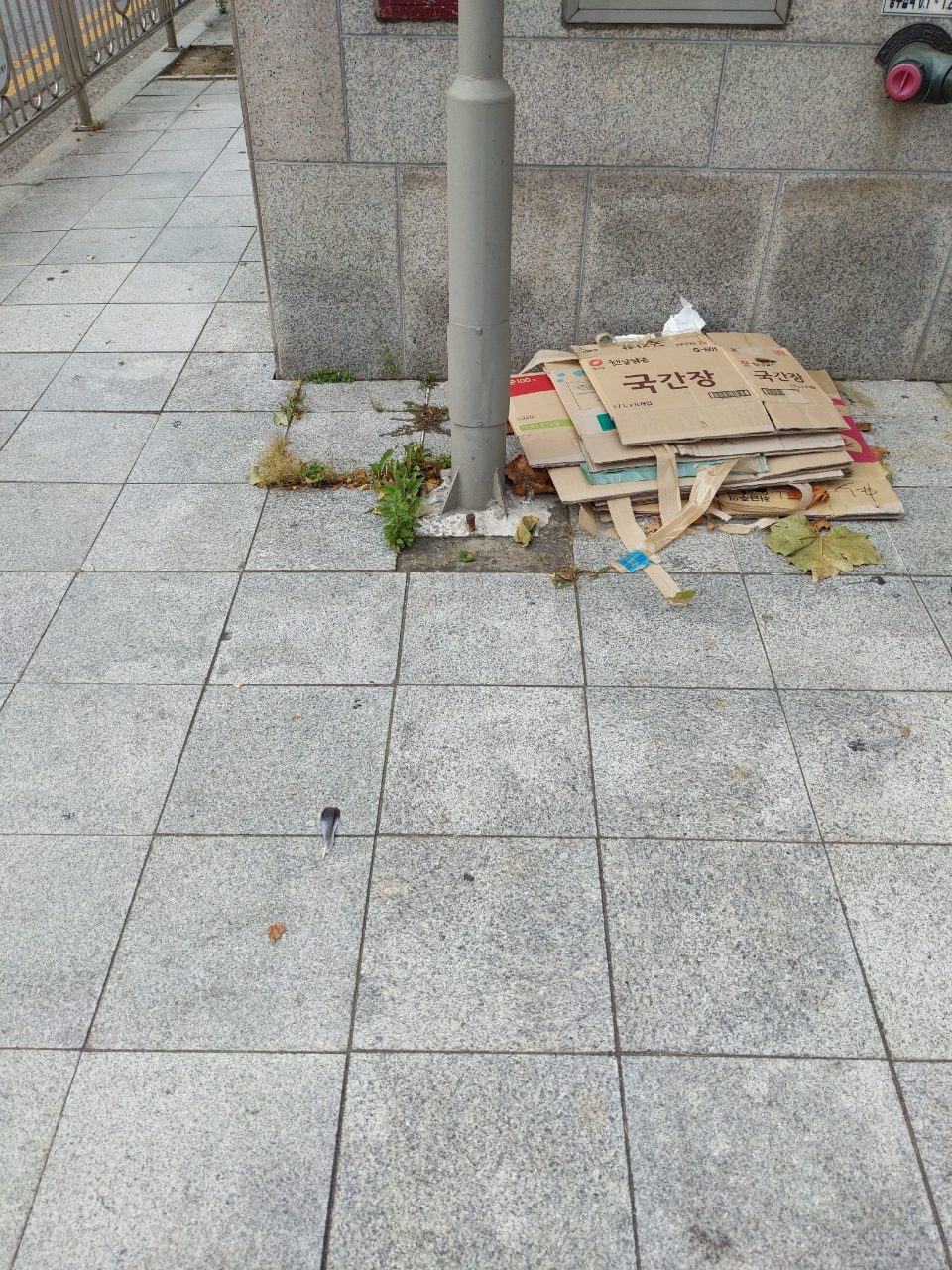 보도블록 균열