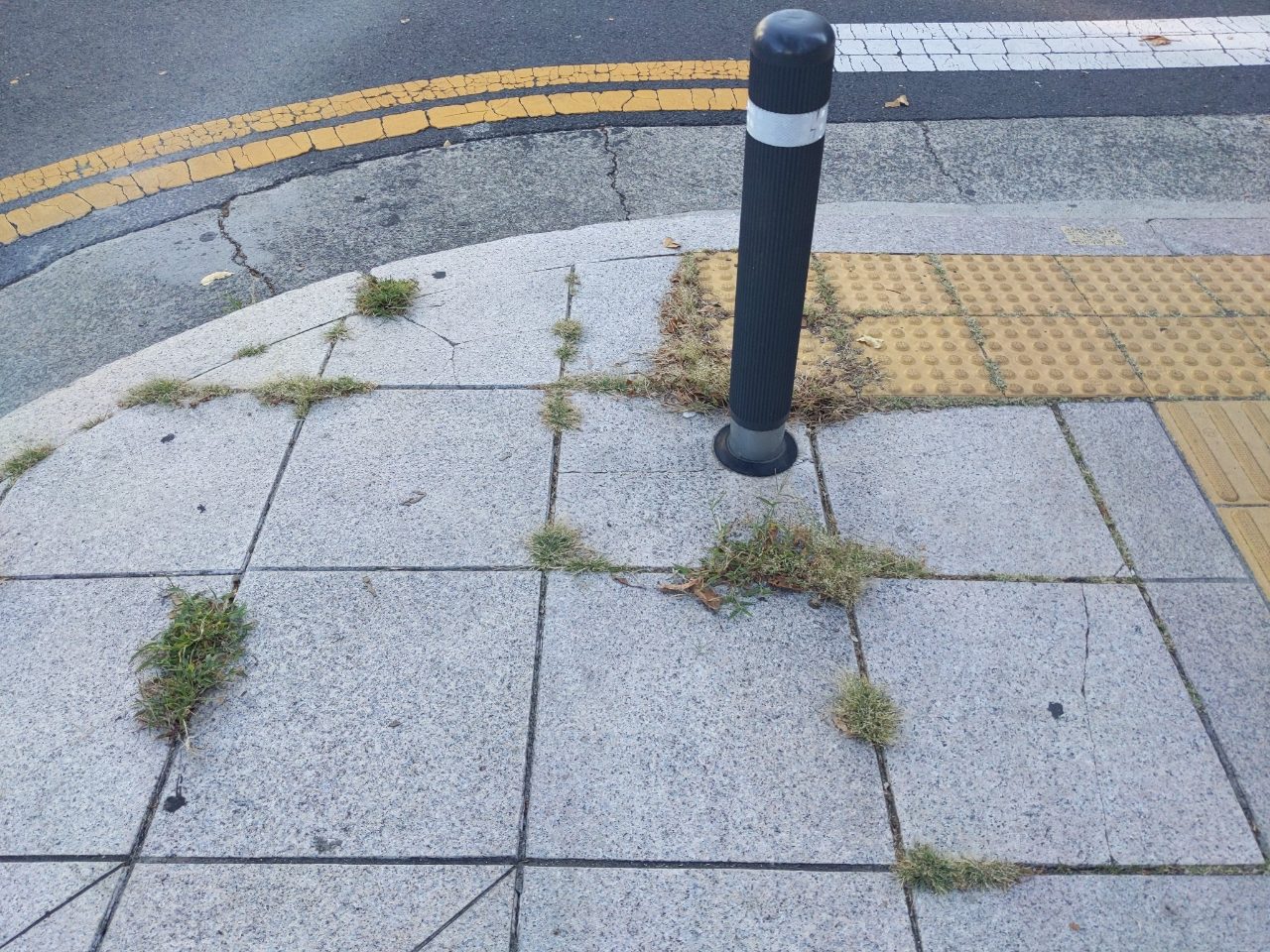 보도블록 이상 없음