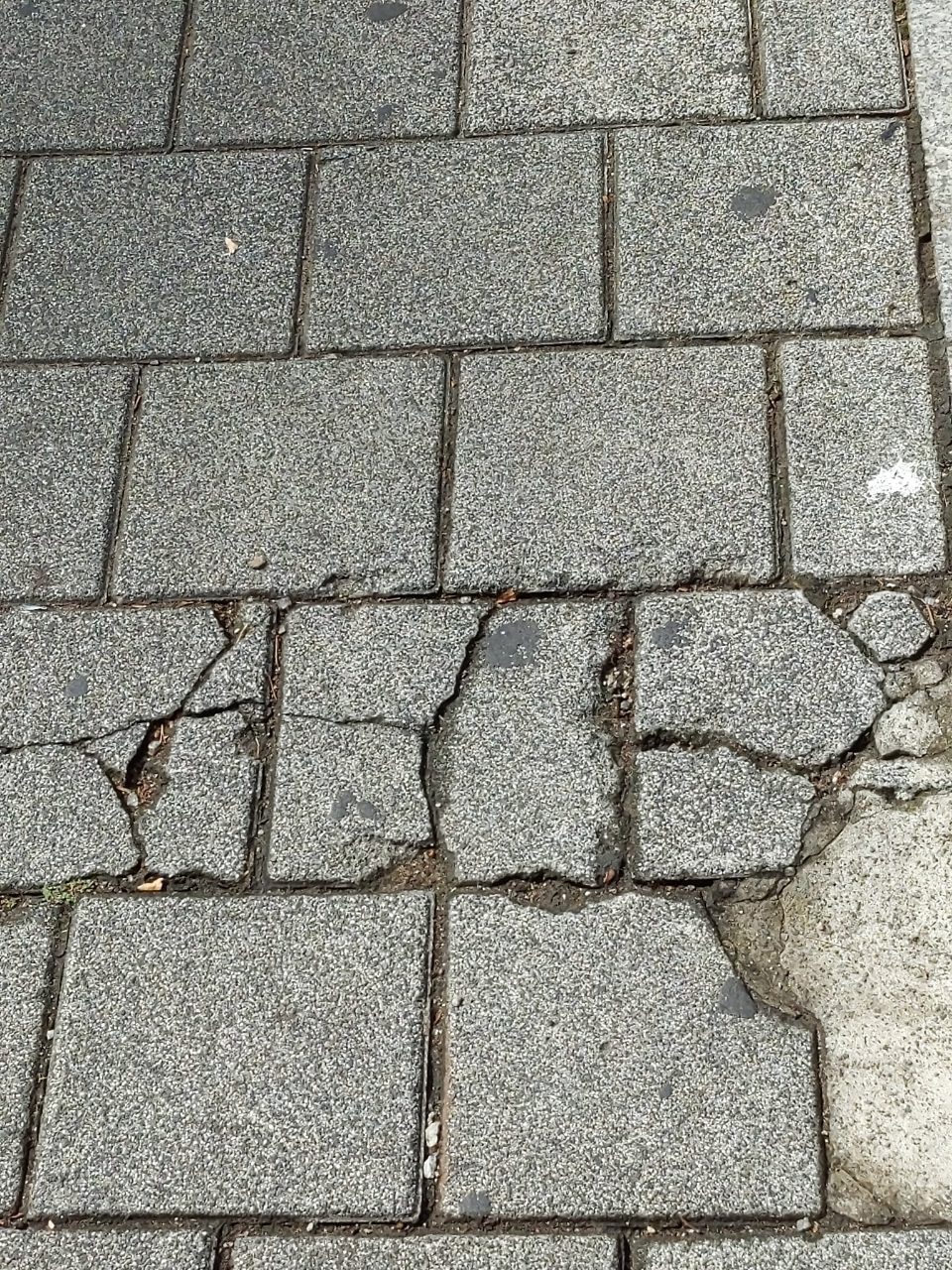 보도블록 균열