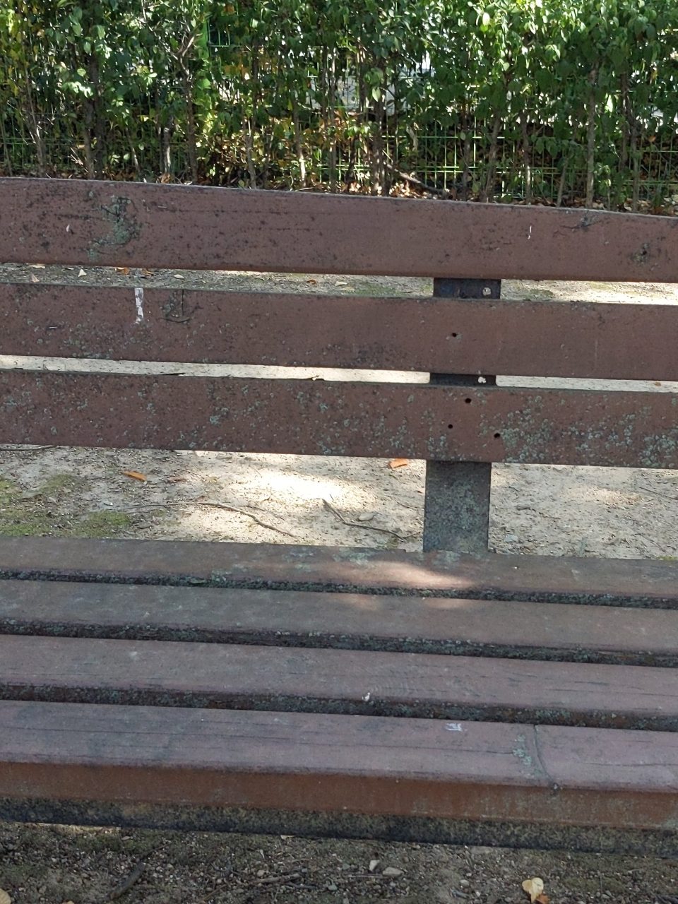 분석 대상 없음