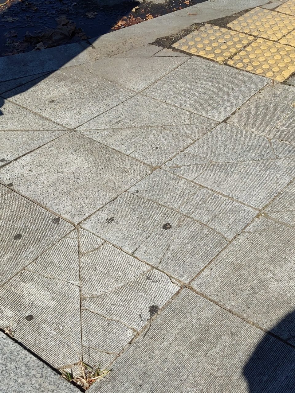 보도블록 균열