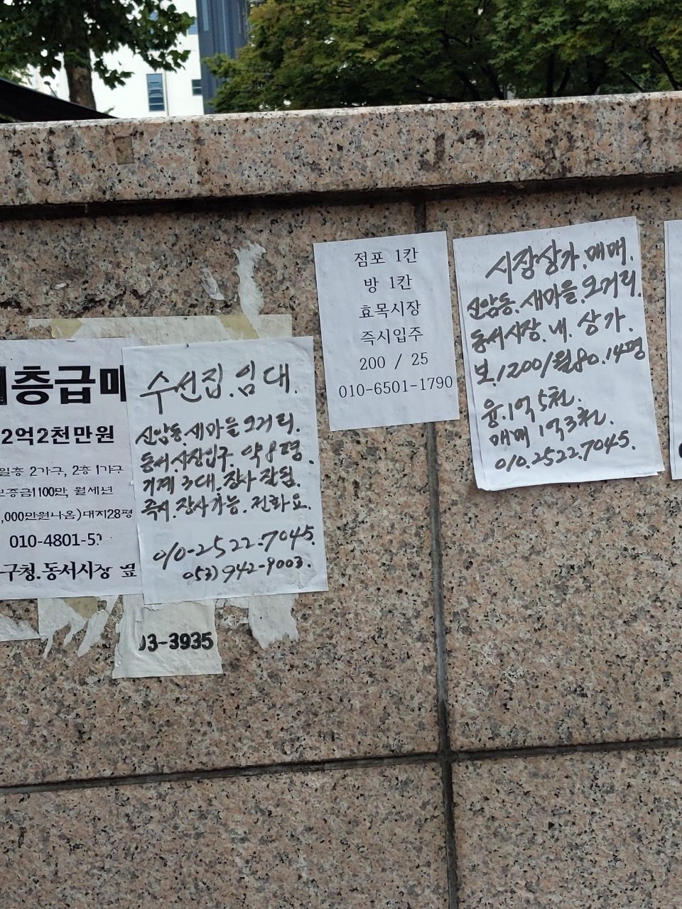 분석 대상 없음