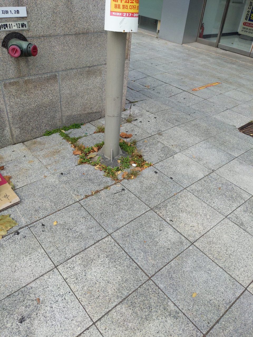 보도블록 균열