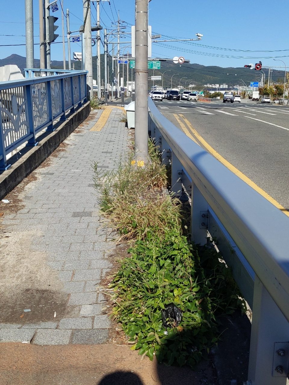 도로 장애물