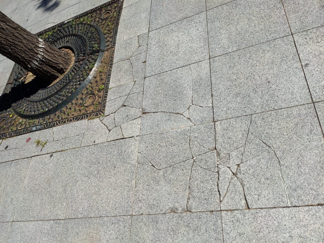 보도블록 균열