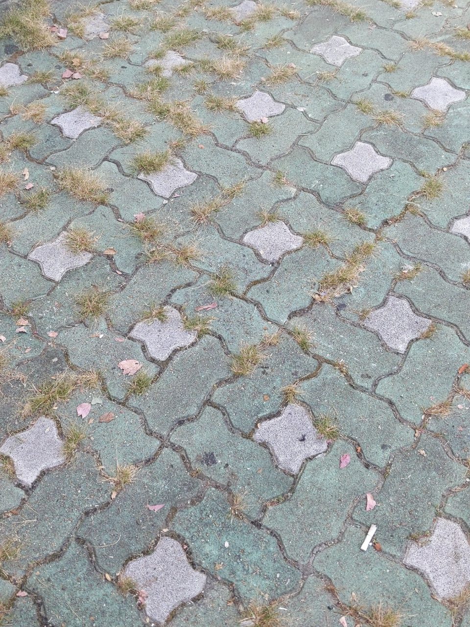 보도블록 균열