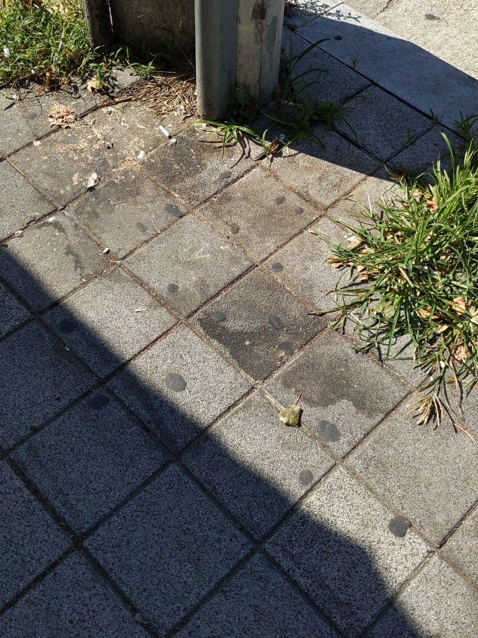 보도블록 구조물 파손
