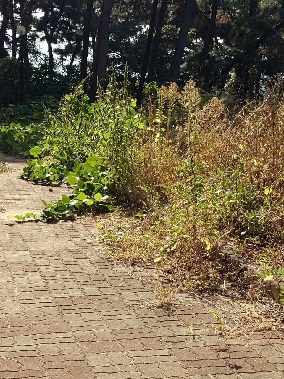 보도블록 이상 없음