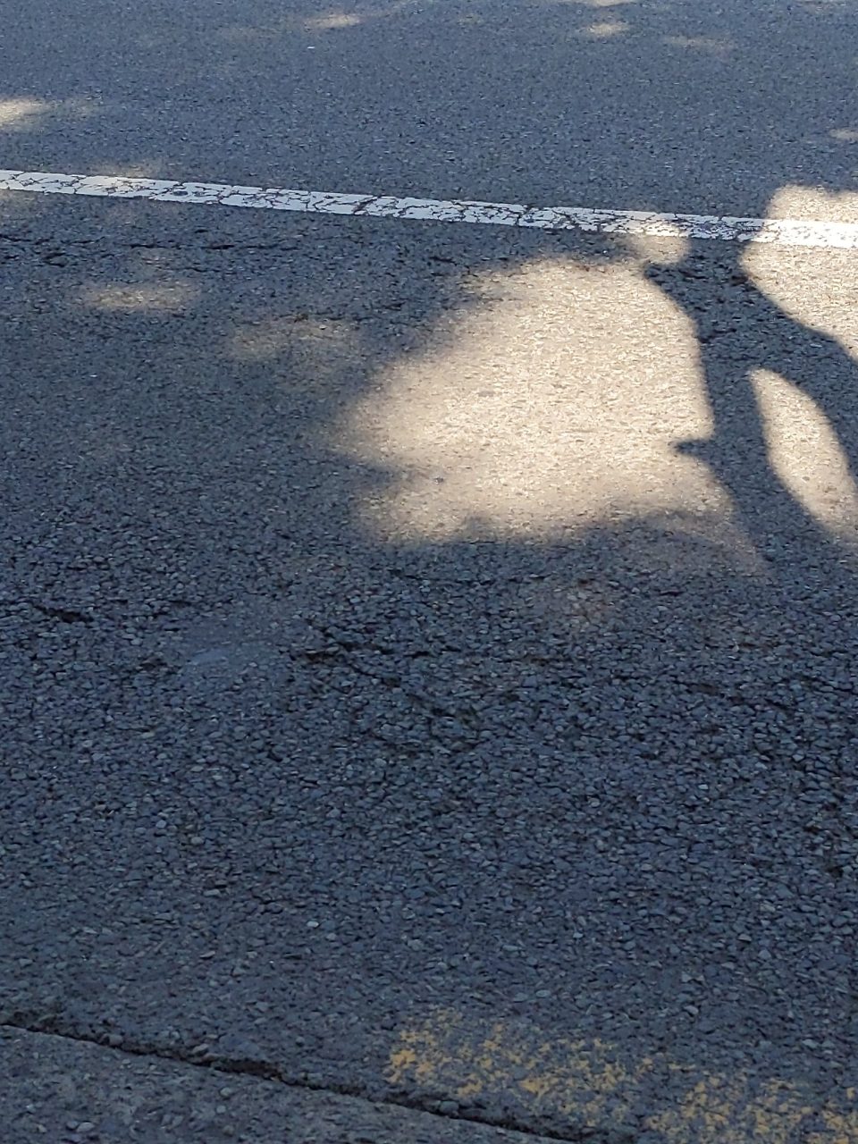 도로 균열