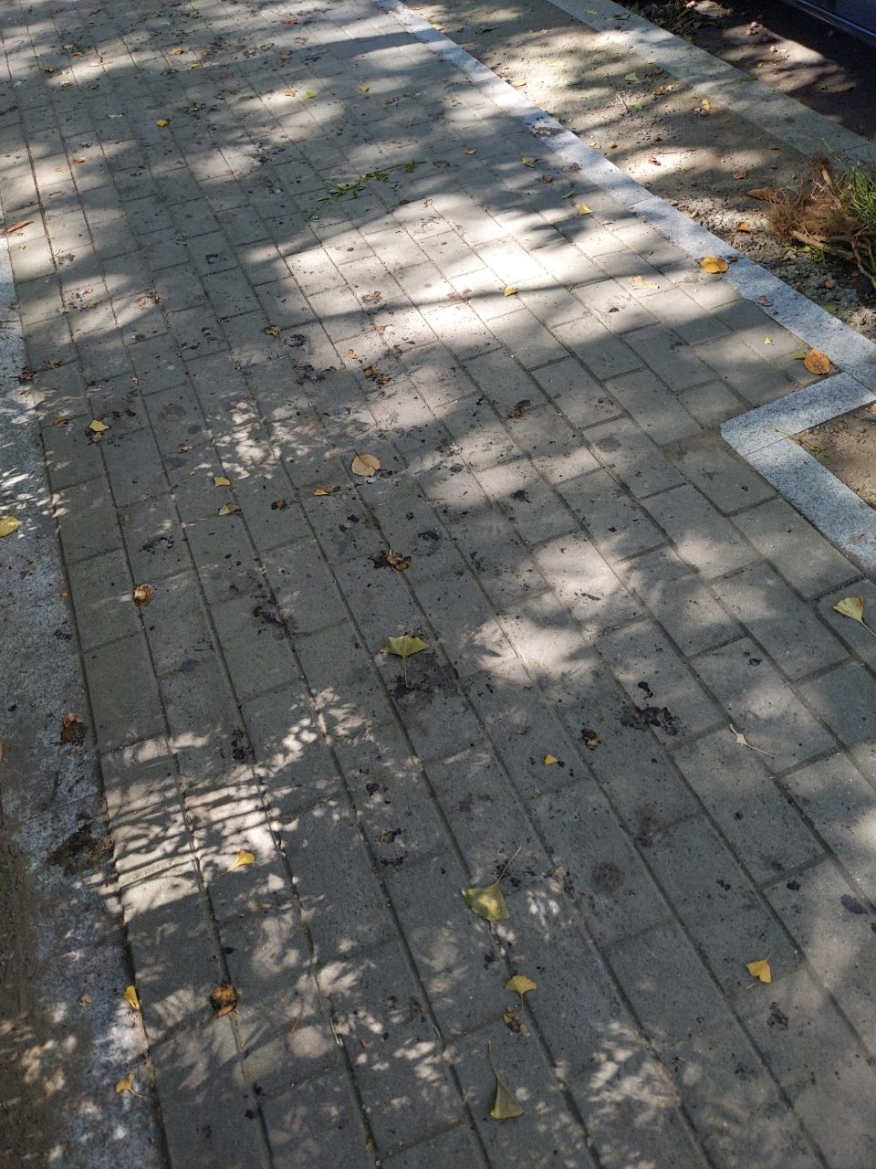 보도블록 변형