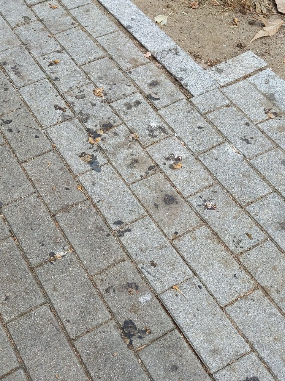 보도블록 변형