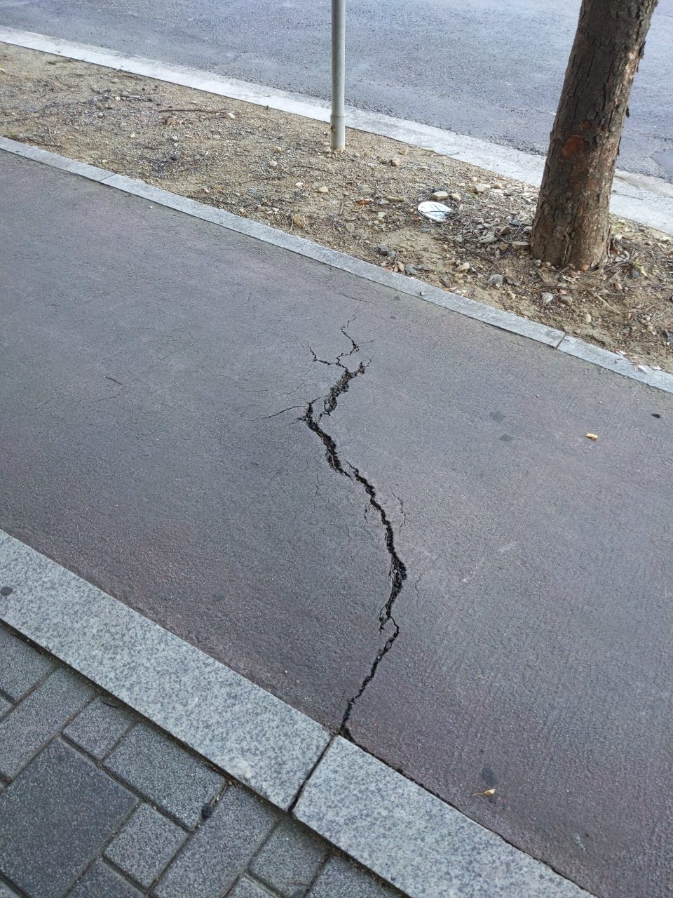 도로 균열