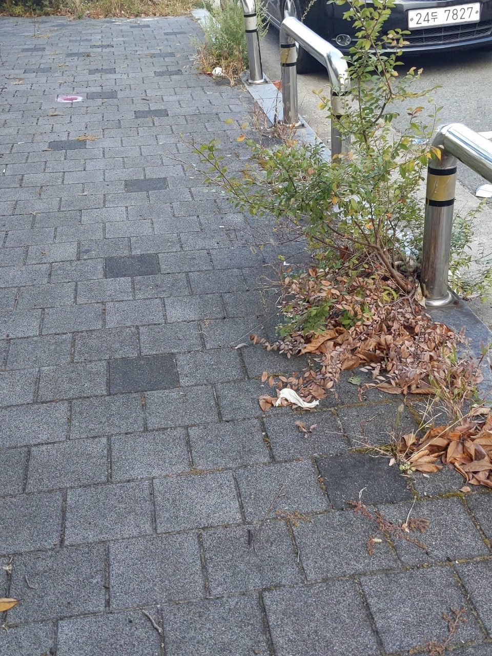 보도블록 장애물