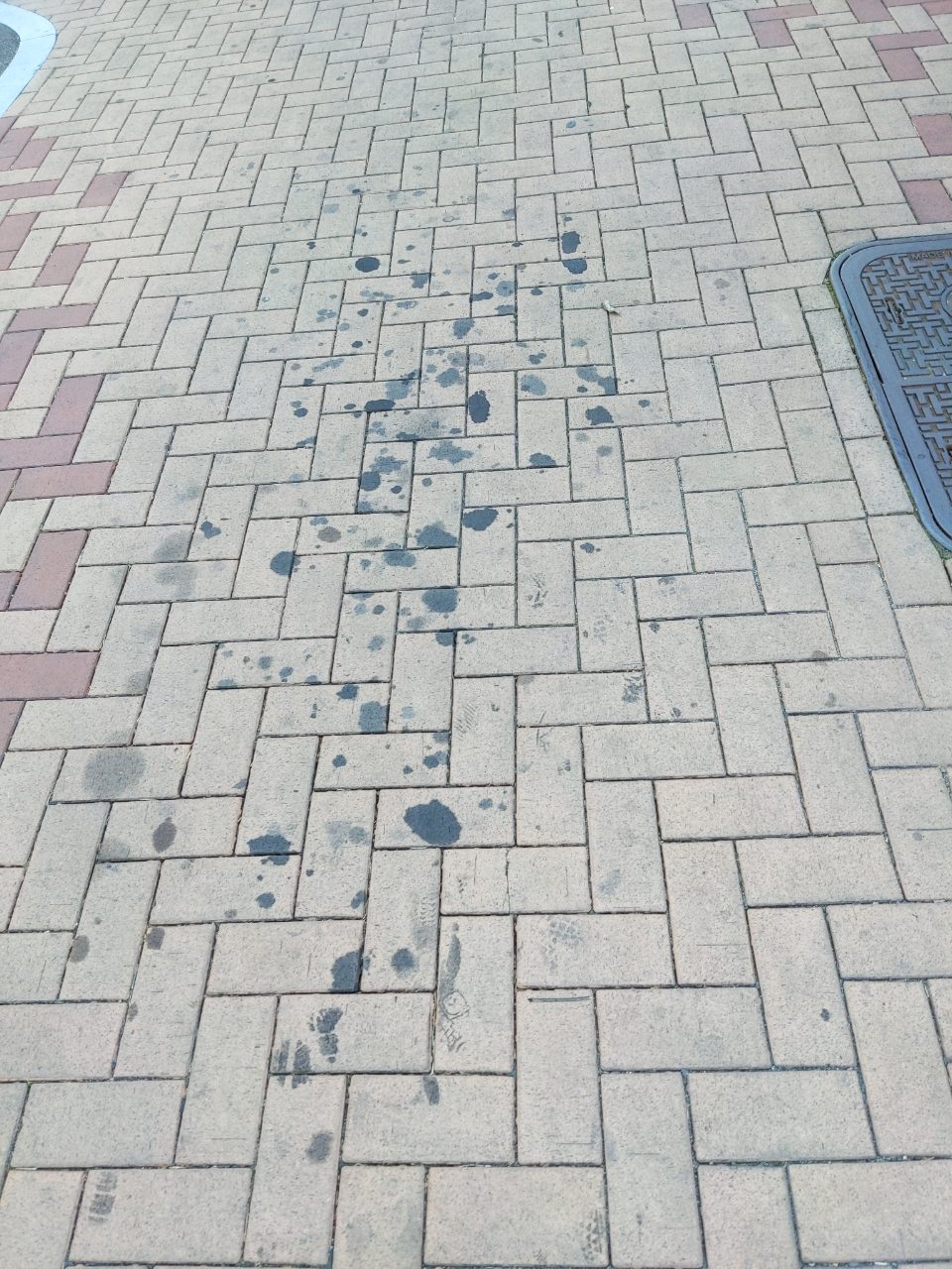 보도블록 이상 없음