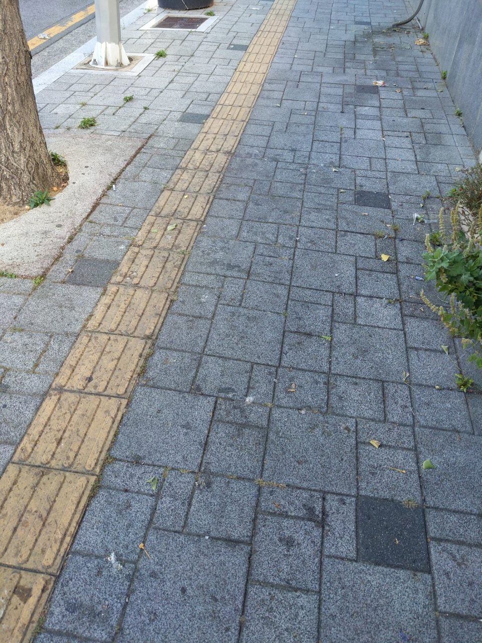 보도블록 구조물 파손