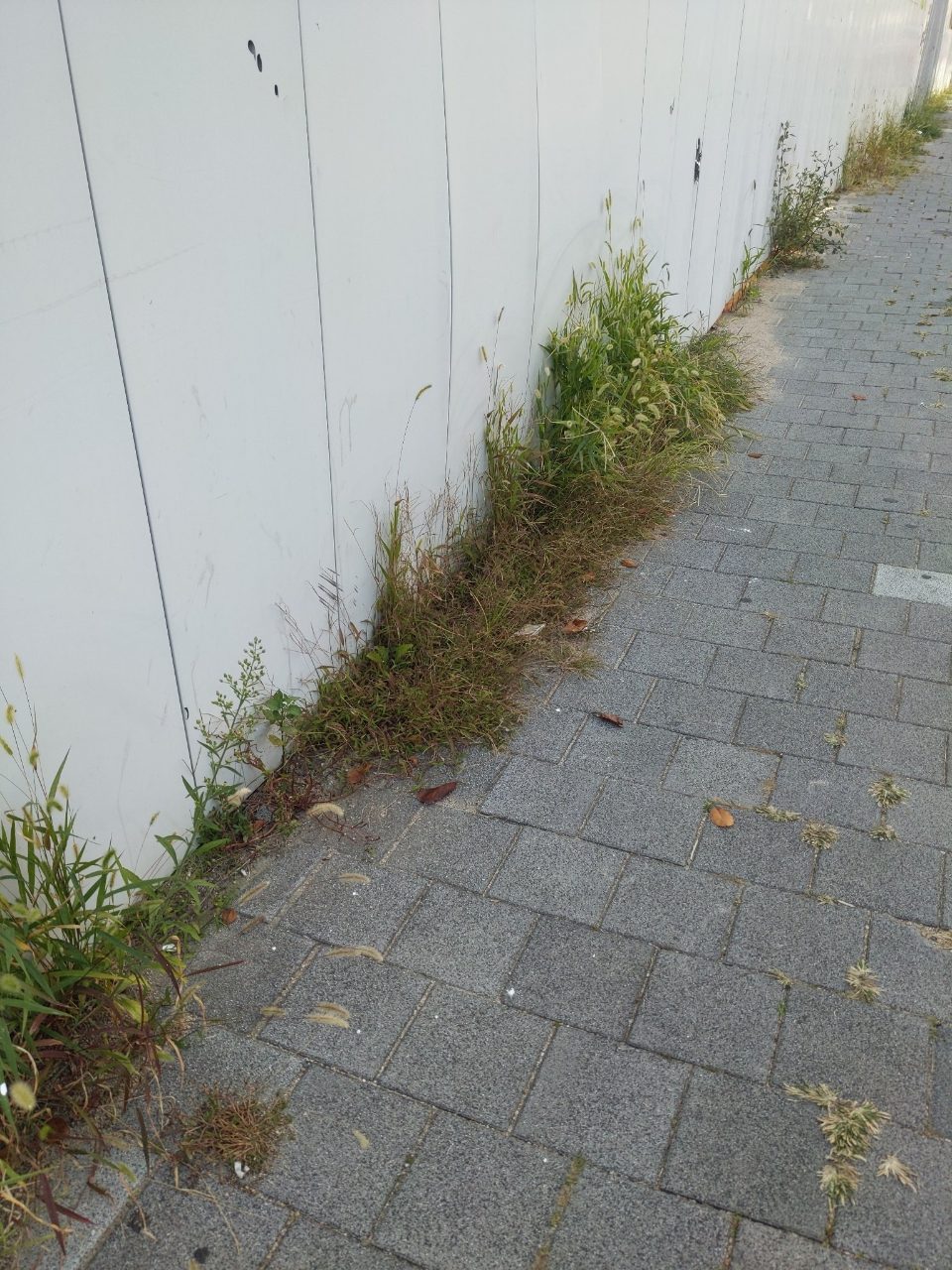 보도블록 변형