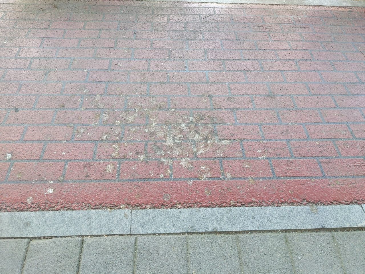 보도블록 변형