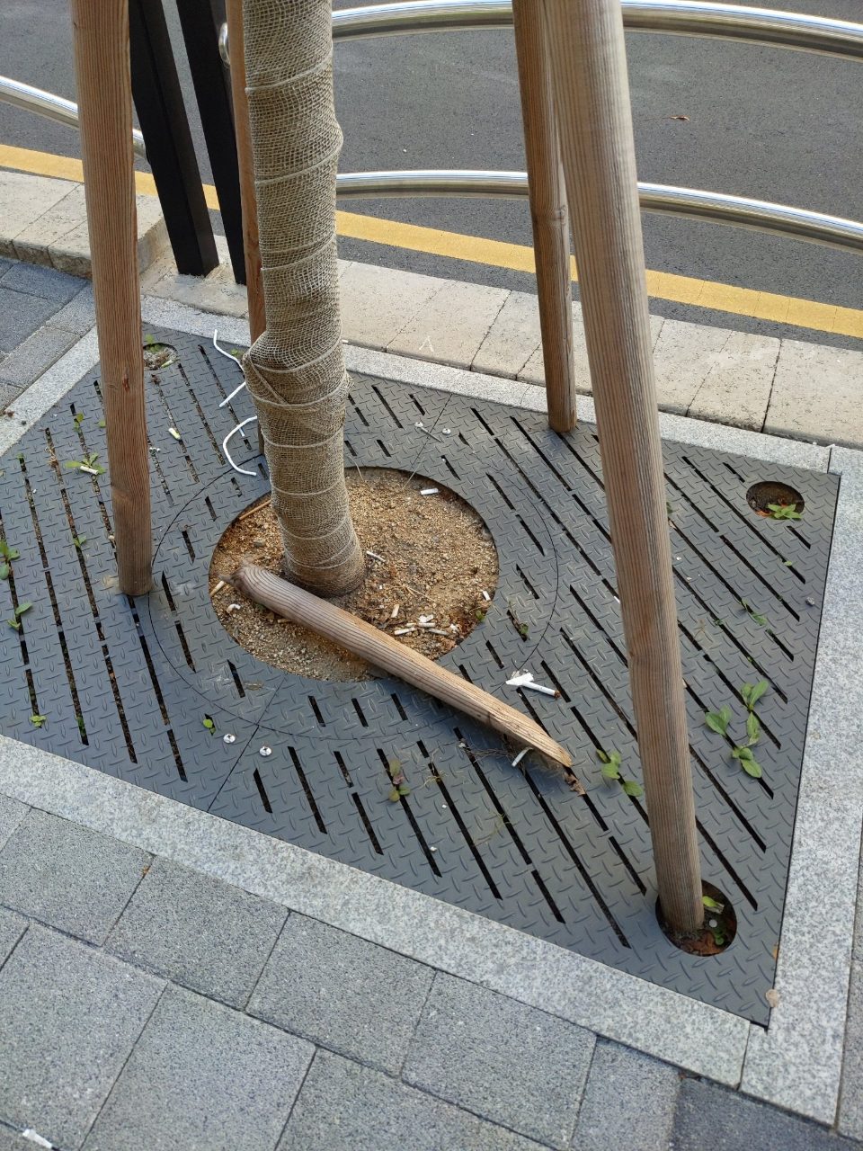 분석 대상 없음