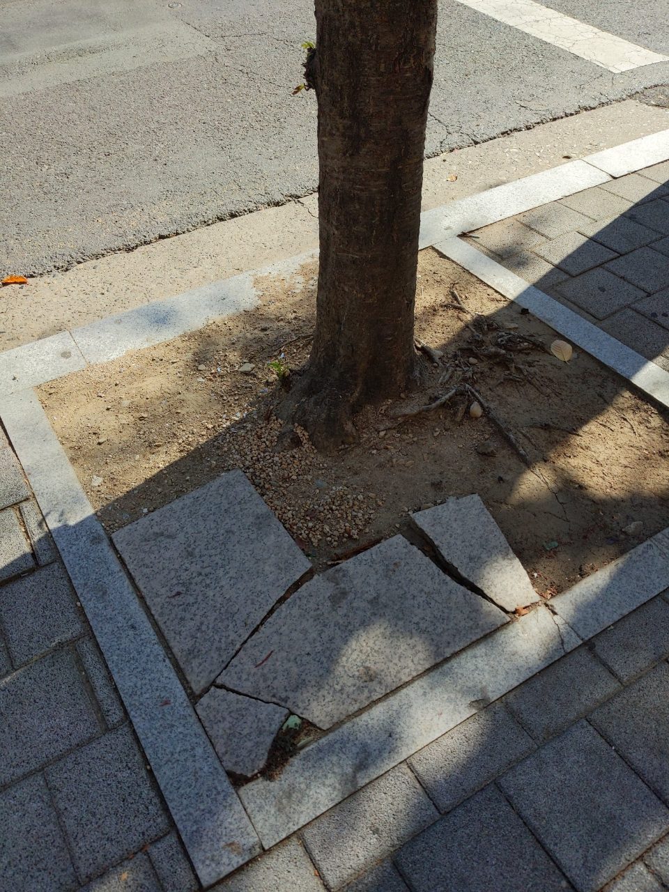 보도블록 구조물 파손
