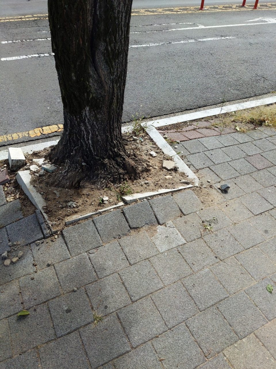 보도블록 구조물 파손