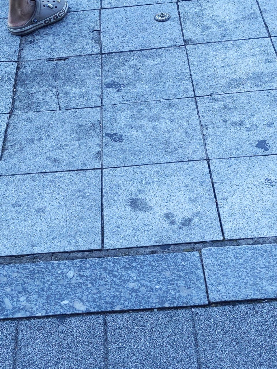 보도블록 균열
