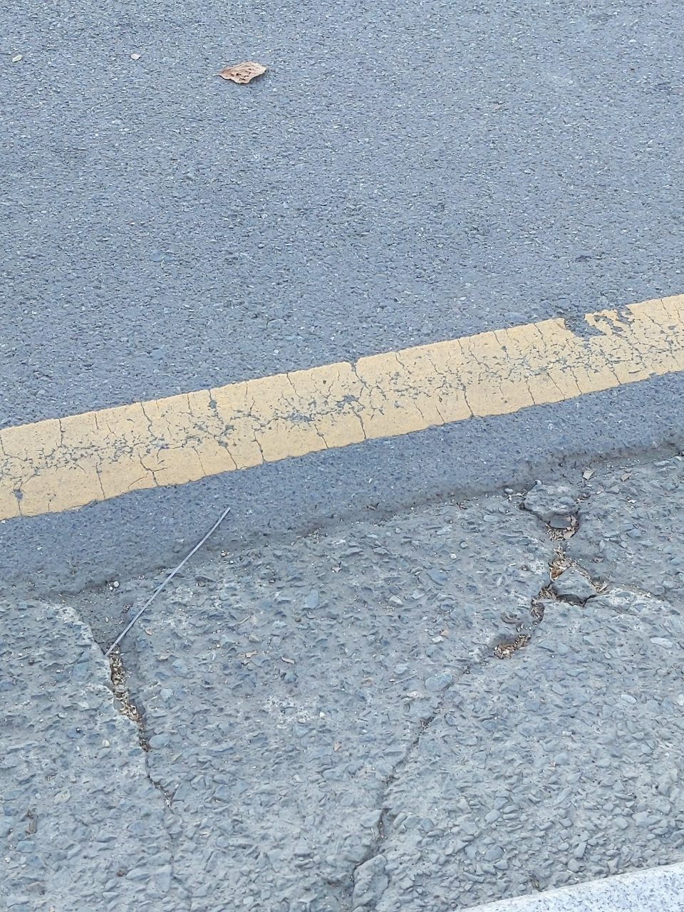 도로 균열