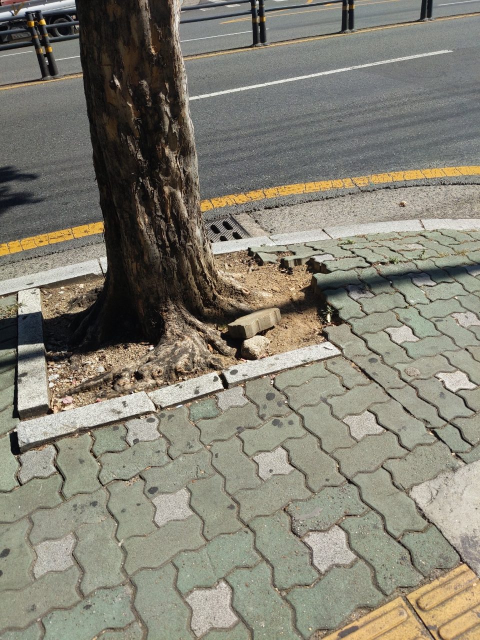 분석 대상 없음