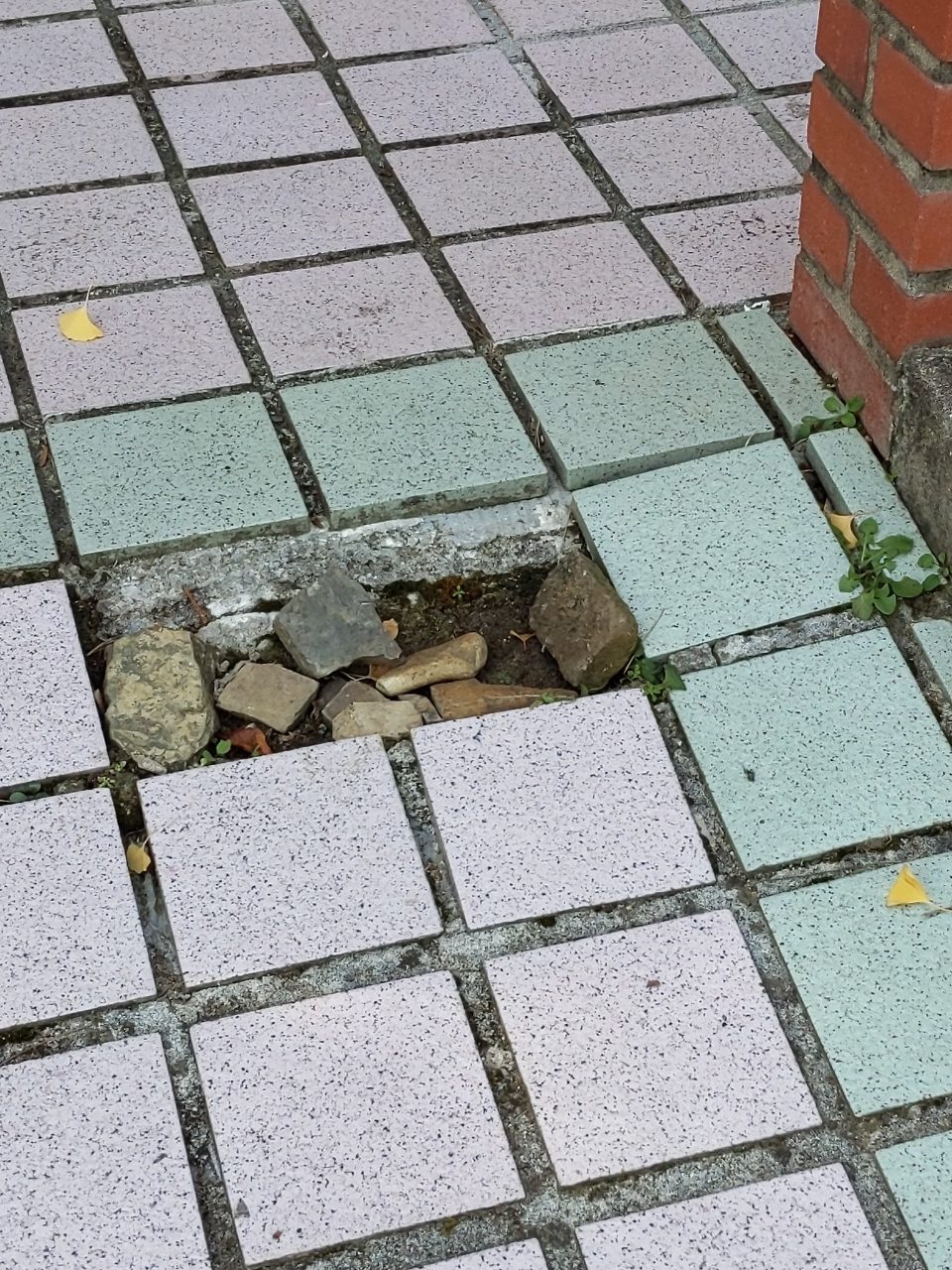보도블록 구조물 파손