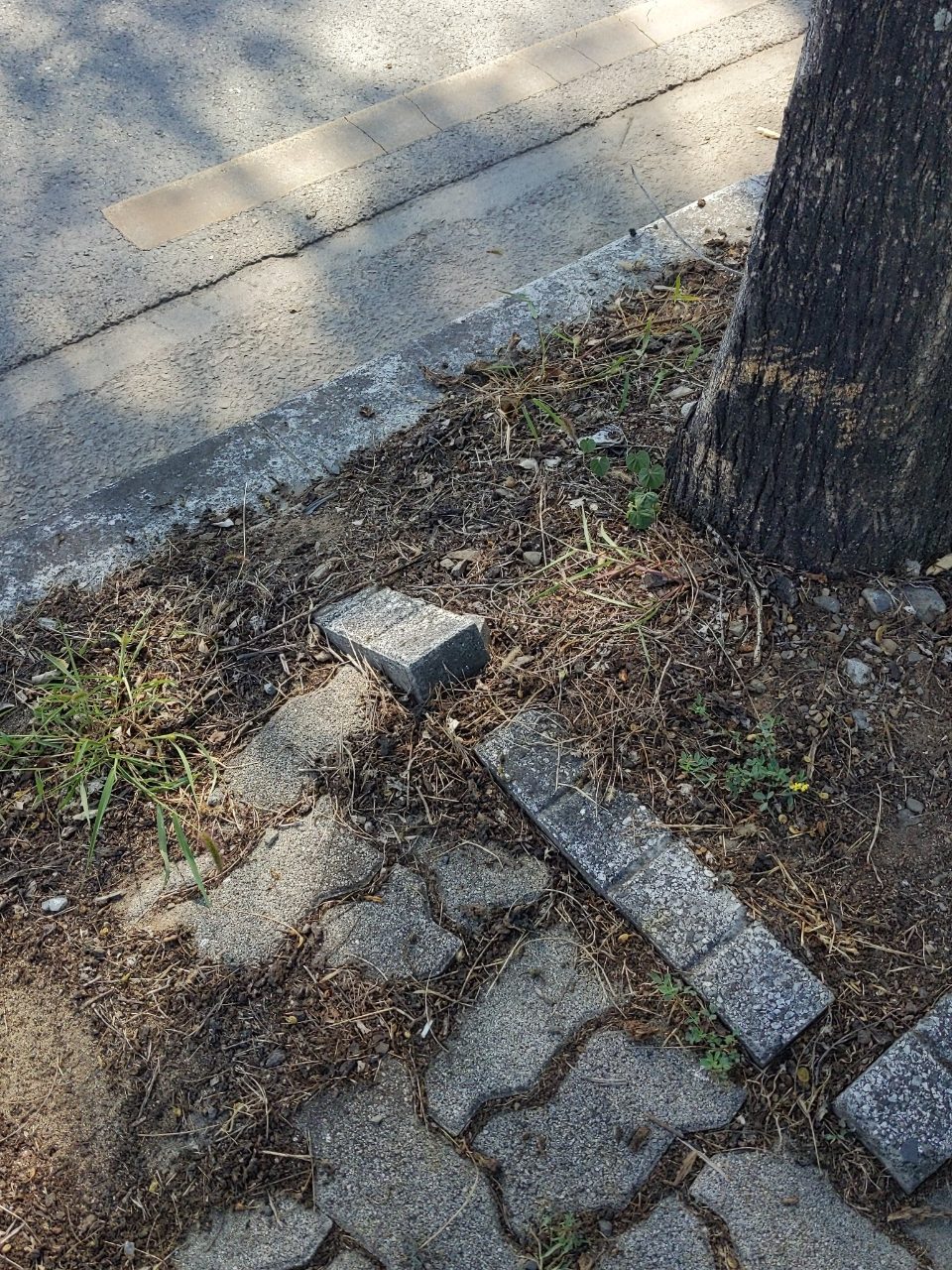 보도블록 구조물 파손