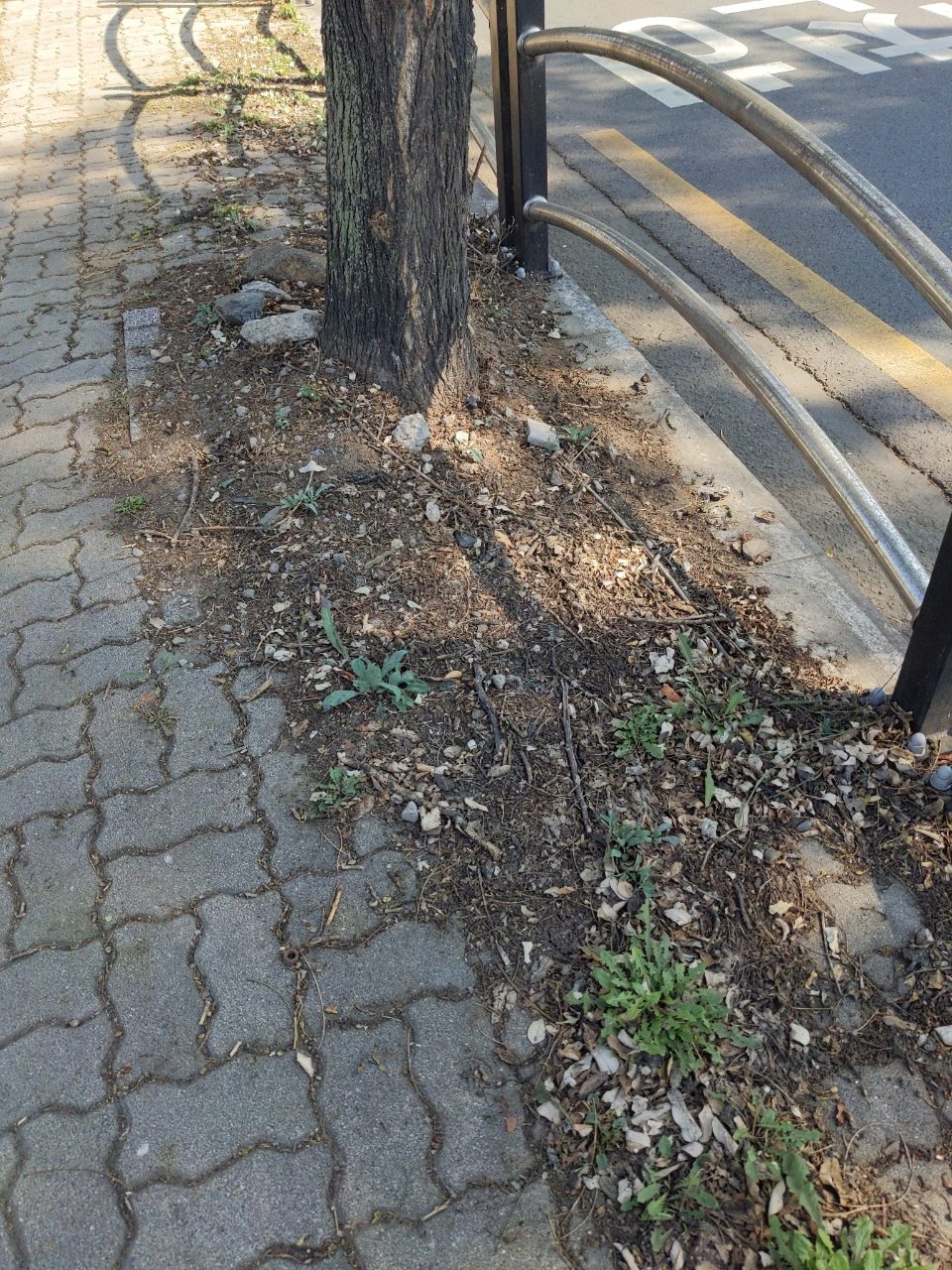 보도블록 이상 없음