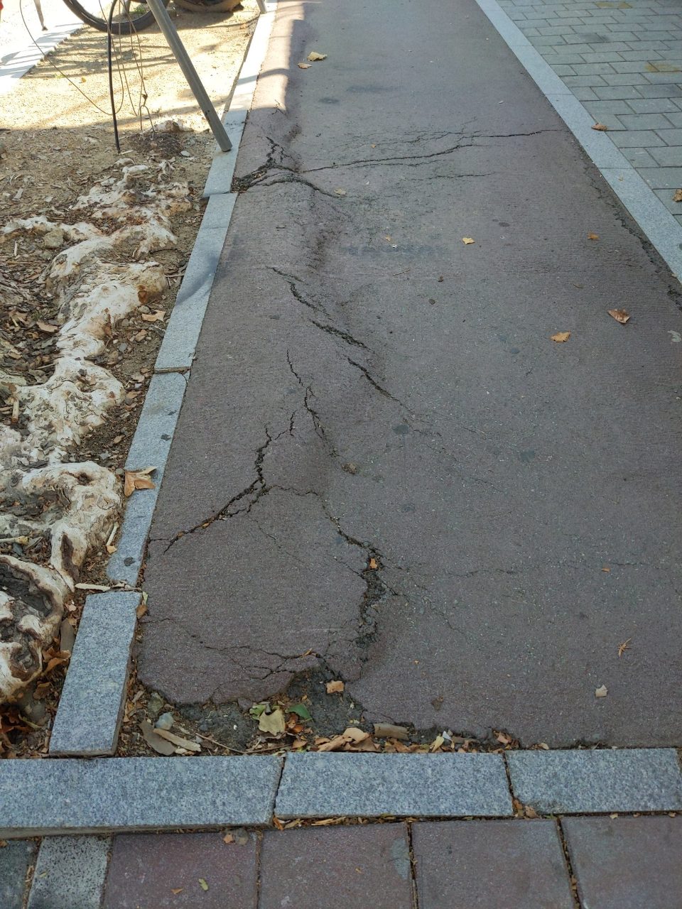 도로 균열